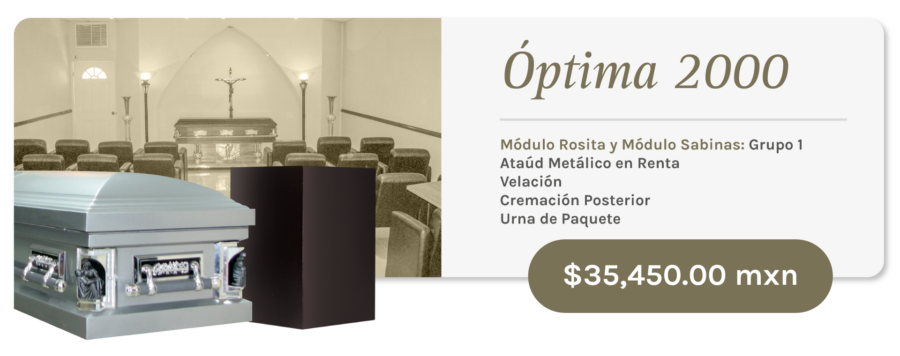 Carbonífera Optima 2000