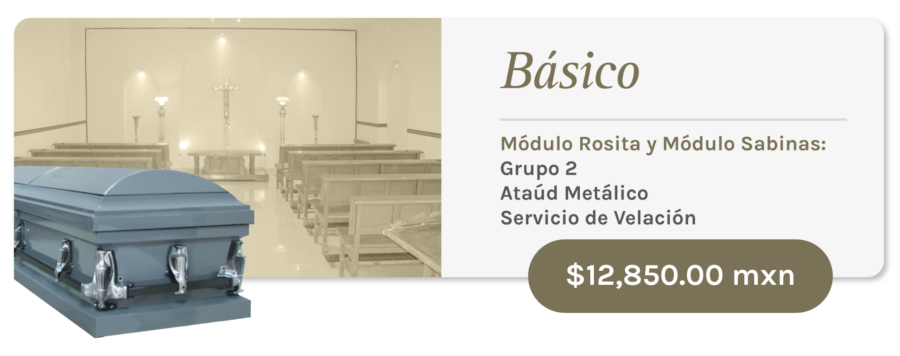 Carbonífera Básico