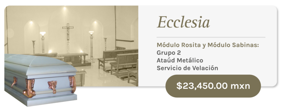 Carbonífera Ecclesia