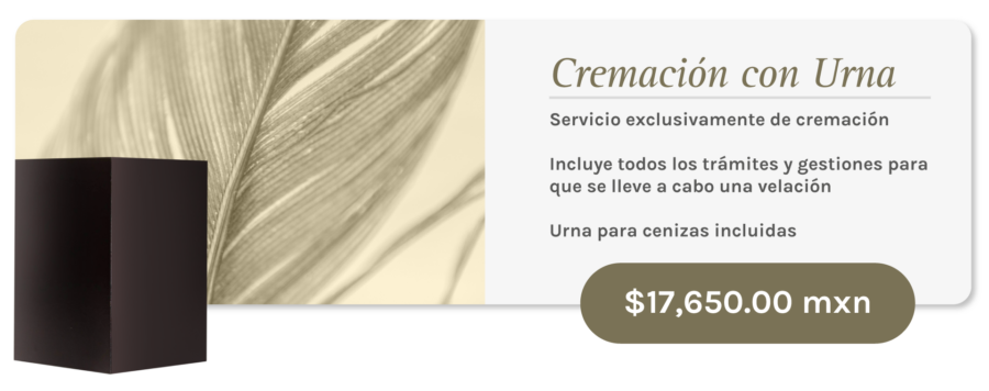 Concepción del Oro: Cremación con Urna
