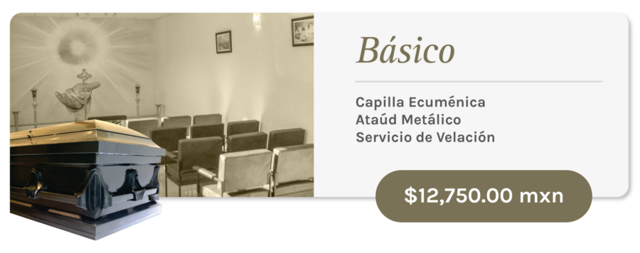 Concepción del Oro: Básico