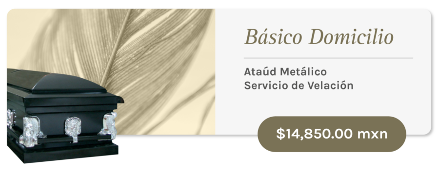 Parras de la Fuente Básico Domicilio