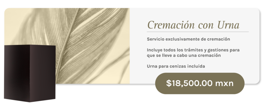 Saltillo Cremación con Urna