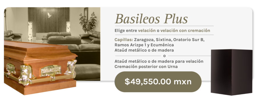 Saltillo Basileos Plus