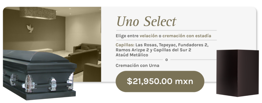 Saltillo Uno Select
