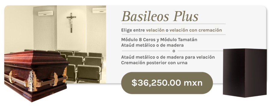 Ciudad Victoria Basileos Plus