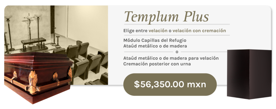 Ciudad Victoria Templum Plus