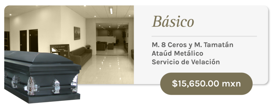 Ciudad Victoria Básico