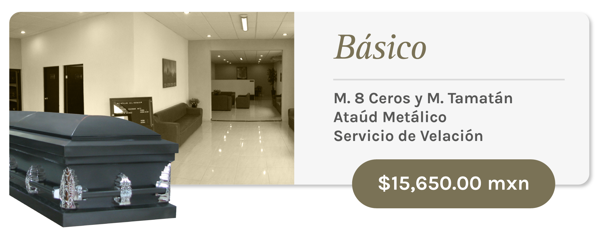 Ciudad Victoria Básico