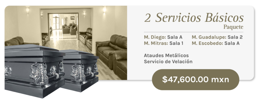 Monterrey Paquete 2 Servicios Básicos